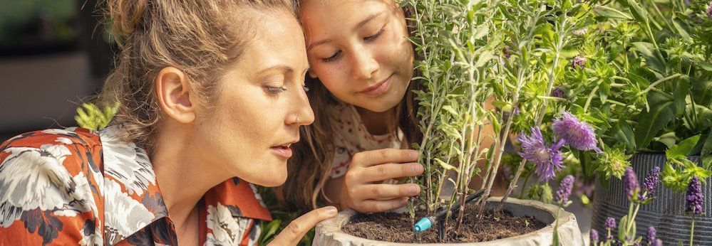 Zwei Personen betrachten ein GARDENA Micro-Drip-System